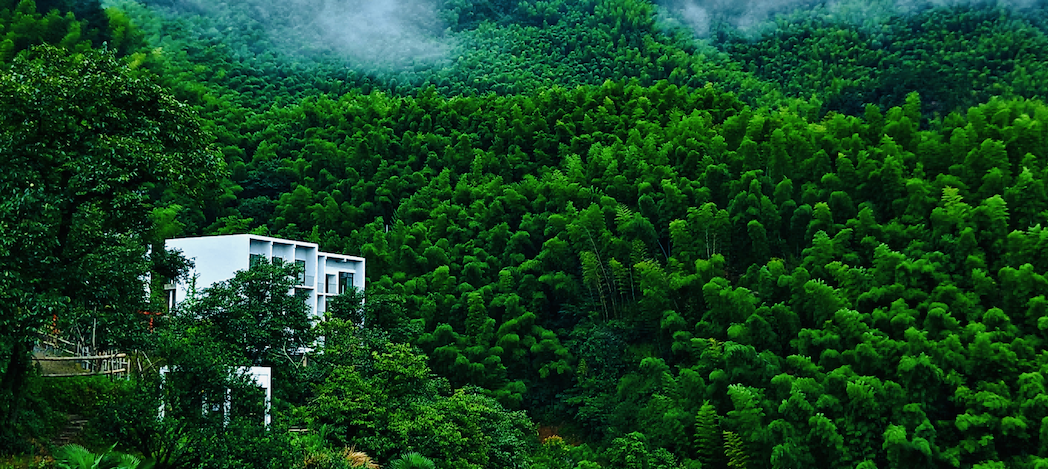 乡村硅谷全景